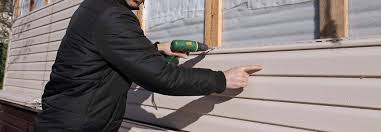 Affordable Siding Repair and Maintenance Services in Lady Lake, FL